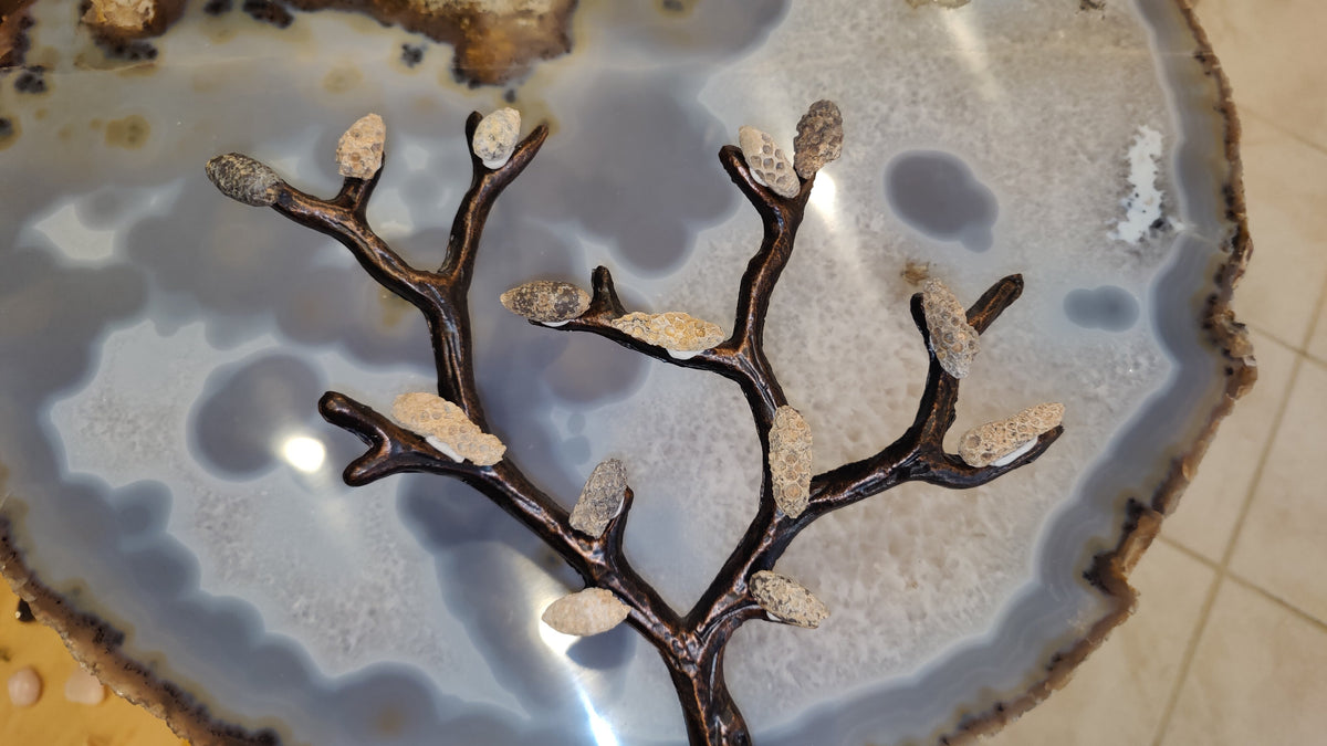 Fossilized Pine Cone 2"