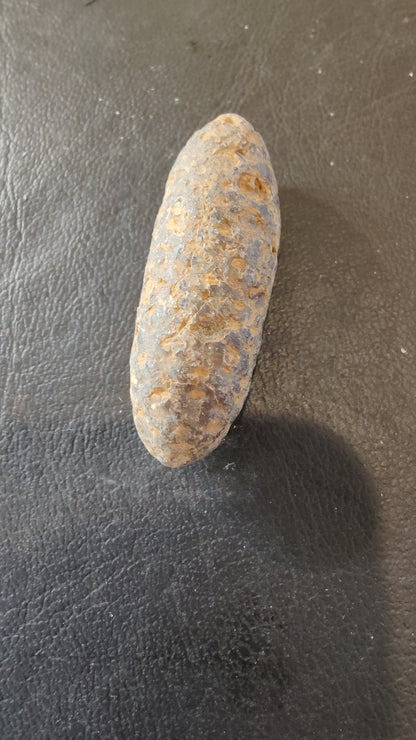 Fossilized Pine Cone 2"