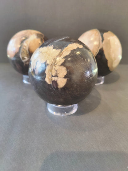 Petrified Wood Sphere