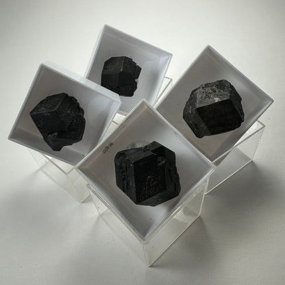 Thumbnail Specimens in Acrylic Box from Morocco